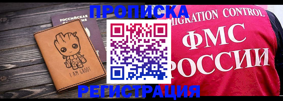 прописка 2025 в Фролово